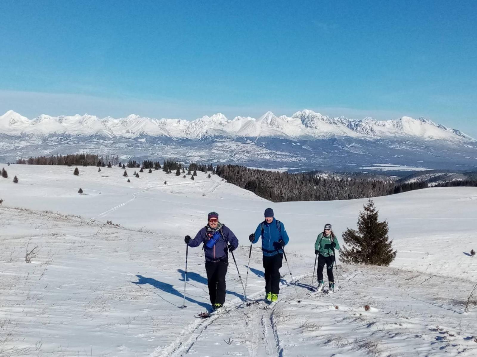Penzion Plesnivec Poprad Bagian luar foto